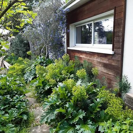 Verdure Et Calme Proche